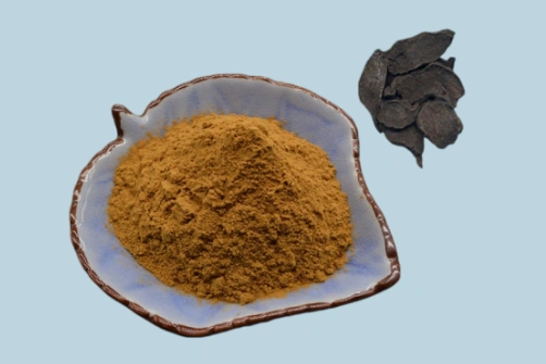 What Applications Can Fo-Ti Extract Powder Serve in Botanical Extract and Beauty Product Markets?